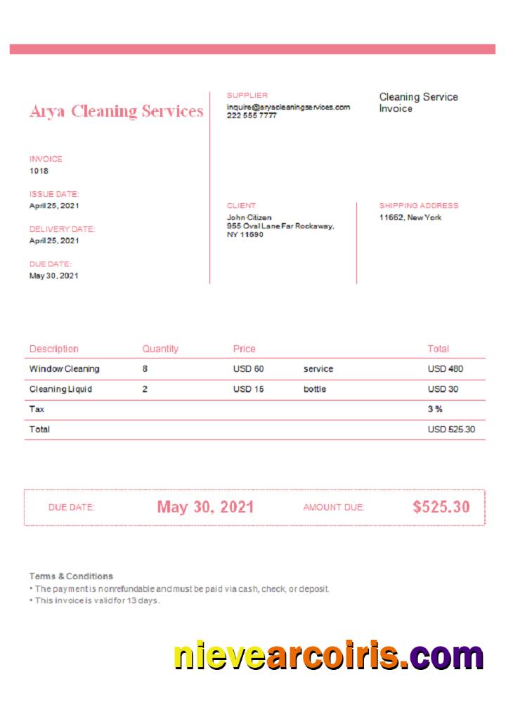 USA Arya Cleaning Services invoice